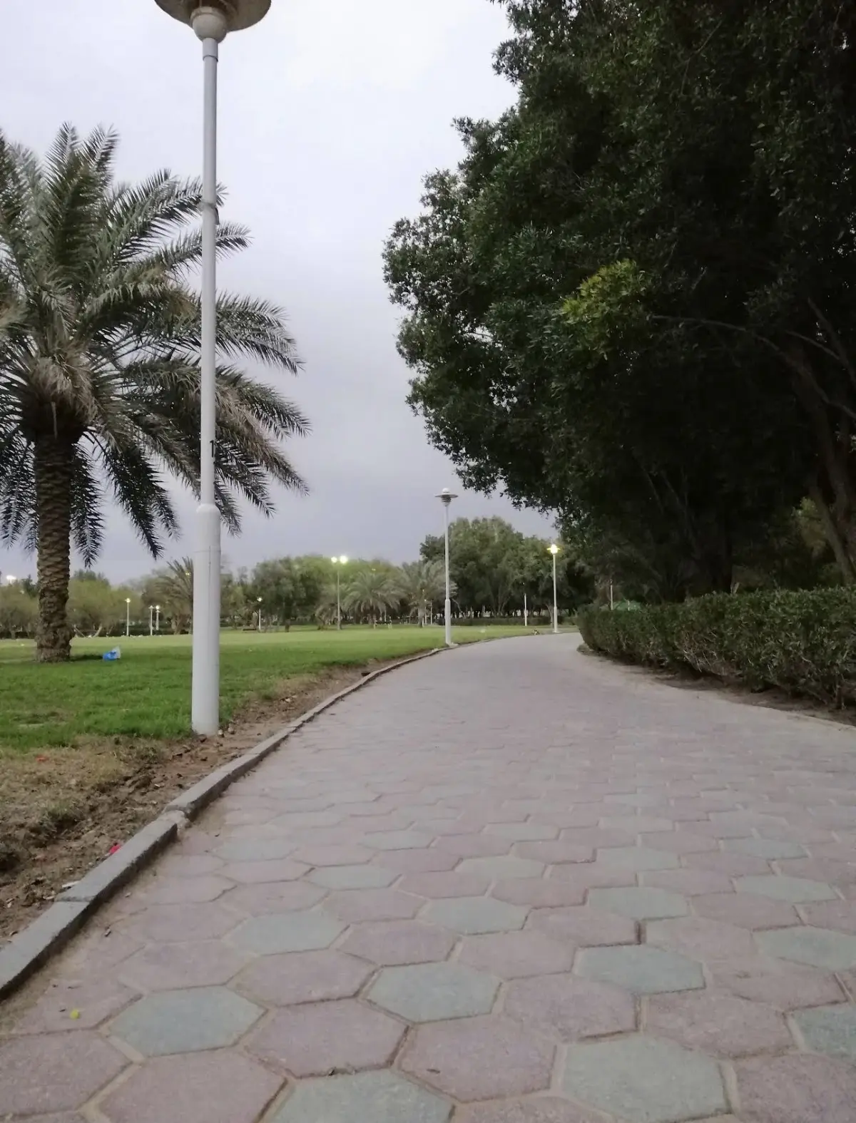 Rent Apartment in Qasr