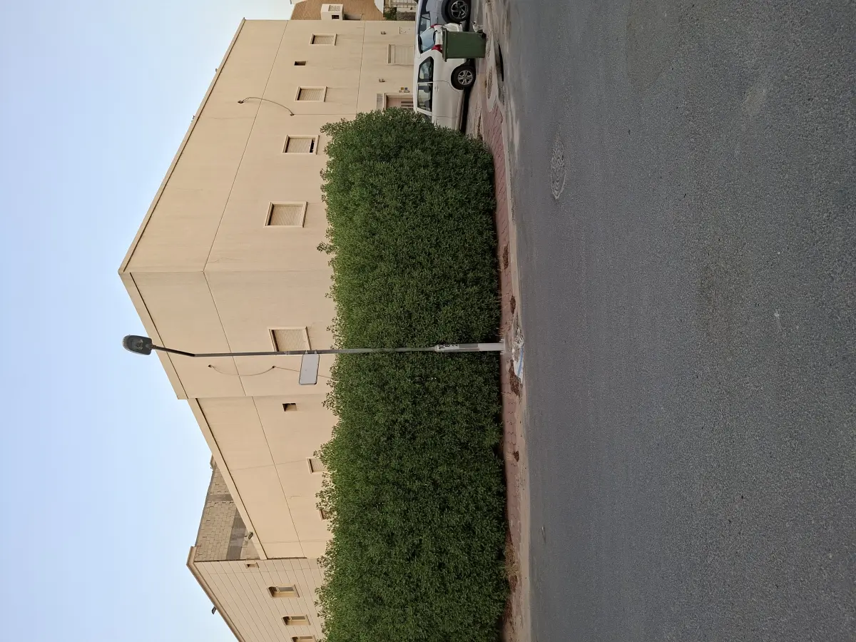 للبيع بيت في العدان