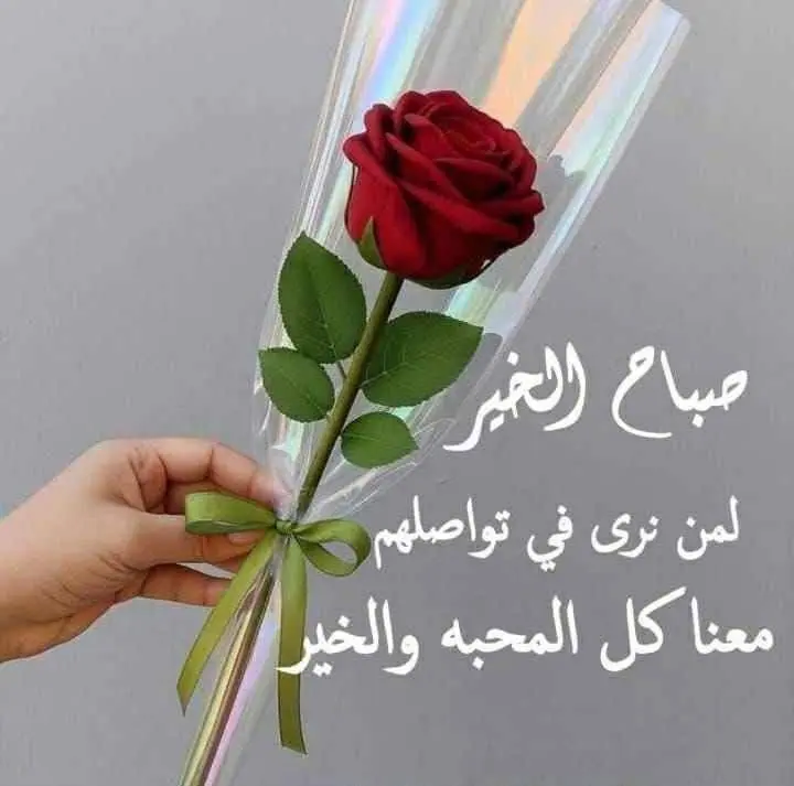للإيجار شقة في الفنيطيس