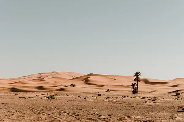 للإيجار ارض في ميناء عبدالله