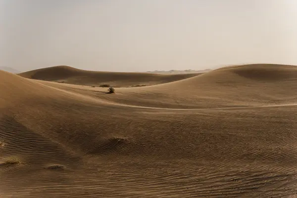للإيجار ارض في ميناء عبدالله