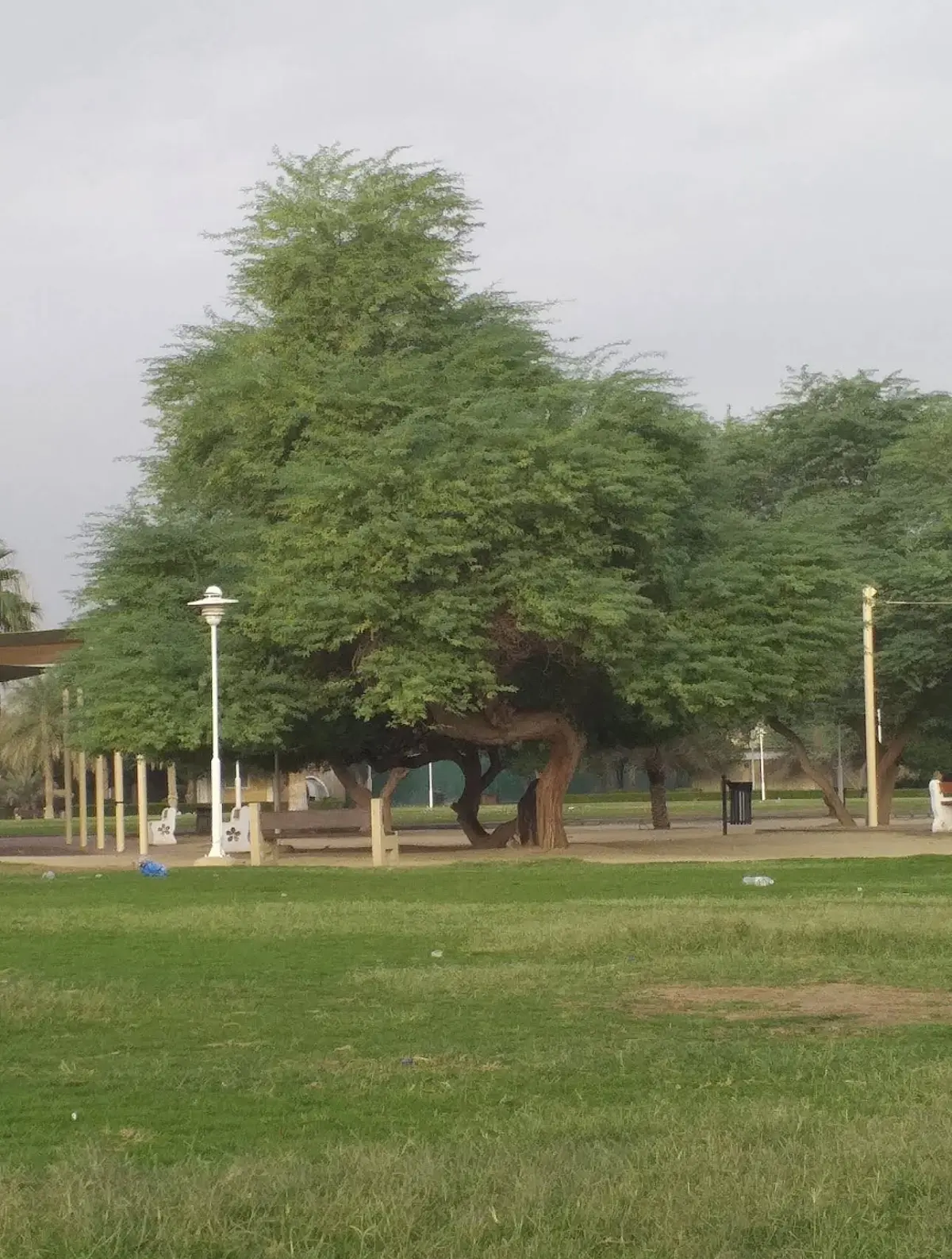 Rent Apartment in Qasr