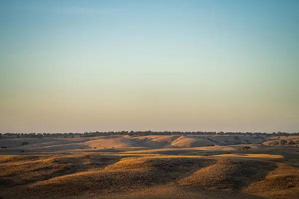 للإيجار ارض في ميناء عبدالله