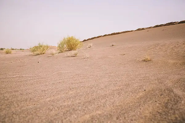 للإيجار ارض في ميناء عبدالله