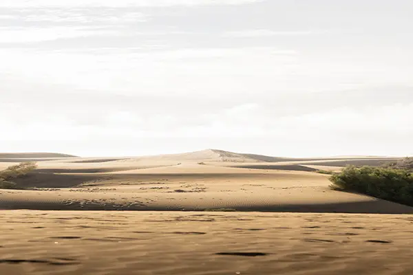 للإيجار ارض في ميناء عبدالله